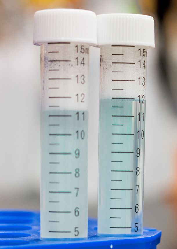 Pad printing machine for centrifuge tubes |printing on centrifuge tubes |pad printing machine for centrifuge tubes |centrifuge tube printing machine |medical tube pad printing machine |lab tube printing machine |pad printing for laboratory tubes